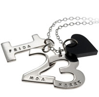 Darling Numbers - namn-halsband i silver och plexi